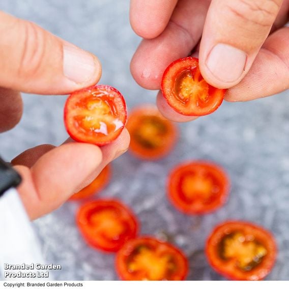 Tomato 'Meltaway' F1