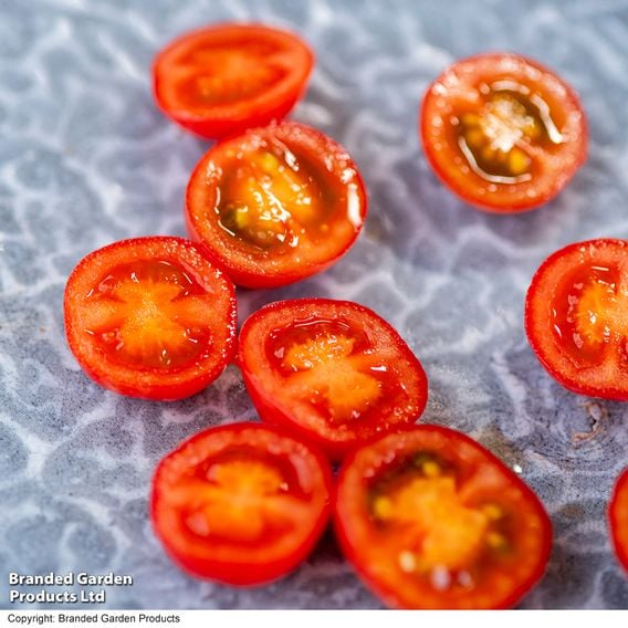 Tomato 'Meltaway' F1
