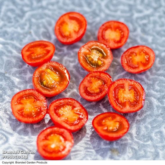 Tomato 'Meltaway' F1