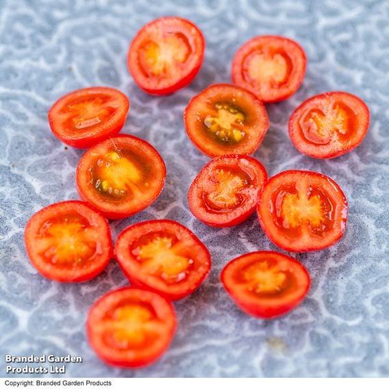 Tomato 'Meltaway' F1