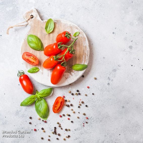 Tomato 'Mini San Marzano'