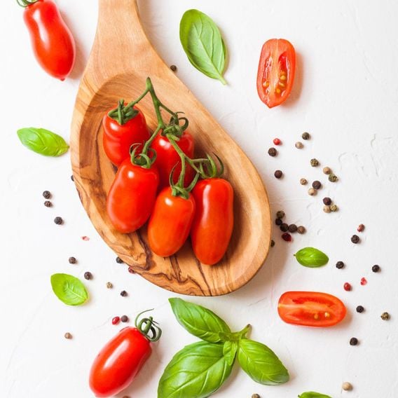 Tomato 'Ravello' F1 - Seeds