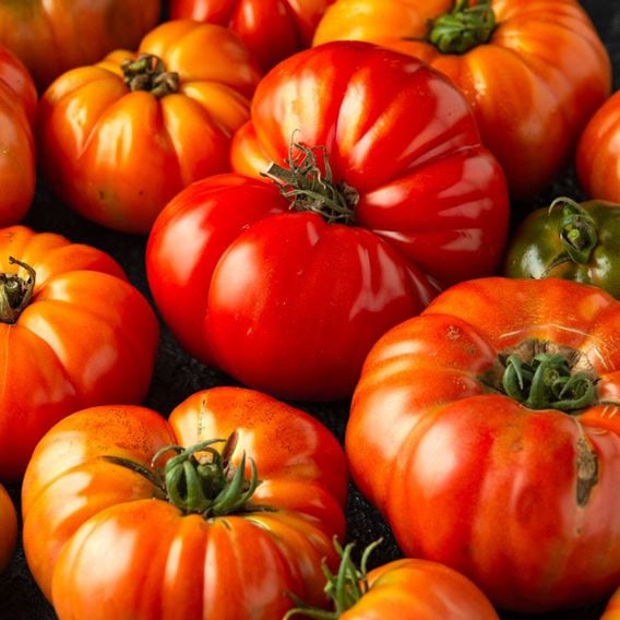 Tomato 'Mortgage Lifter' - Heirloom Tomato Seeds