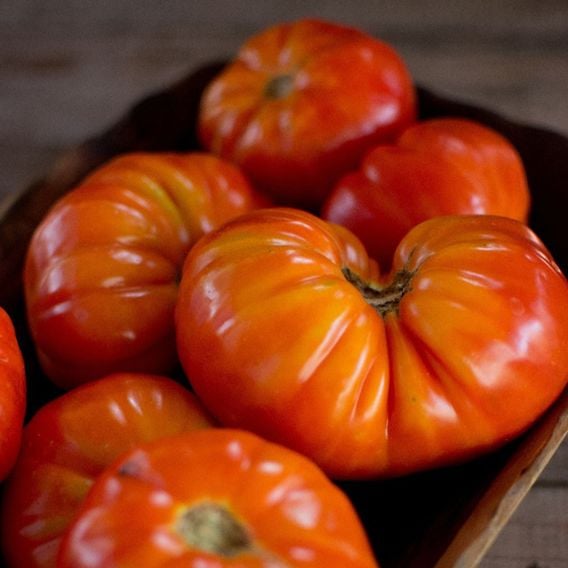 Tomato 'Mortgage Lifter' - Heirloom Tomato Seeds