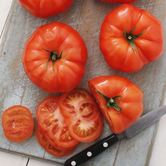 Tomato 'Rutger's 250' - Heirloom Tomato Seeds
