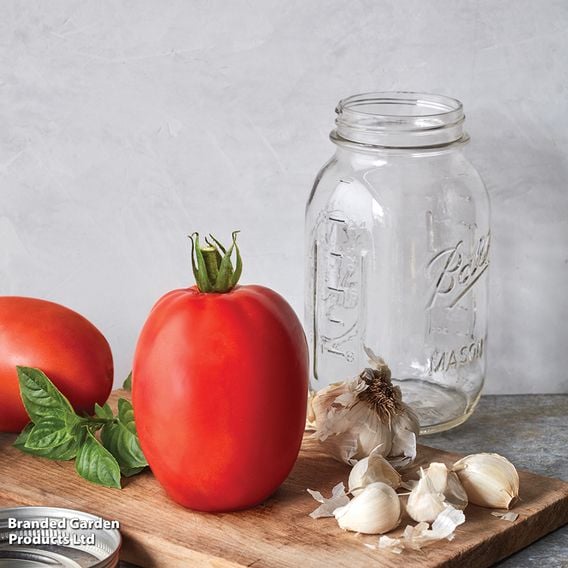Tomato 'Super Sauce' F1 (Indeterminate) - Seeds