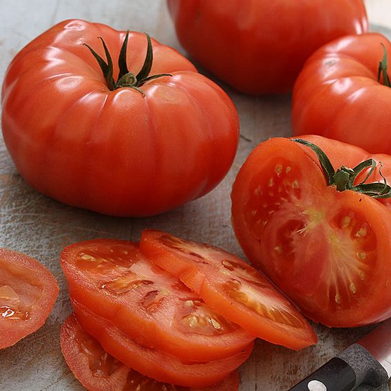 Tomato 'Supersteak' F1 Seeds
