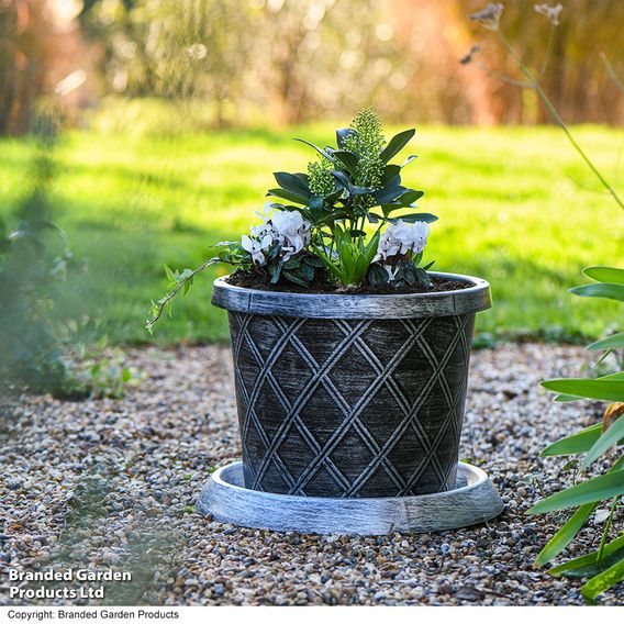 Garden Gear - Black & Pewter Flowerpot with Saucer