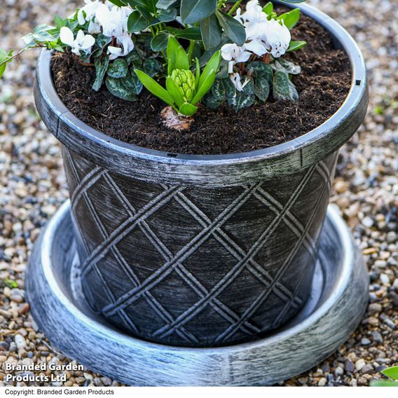 Garden Gear - Black & Pewter Flowerpot with Saucer
