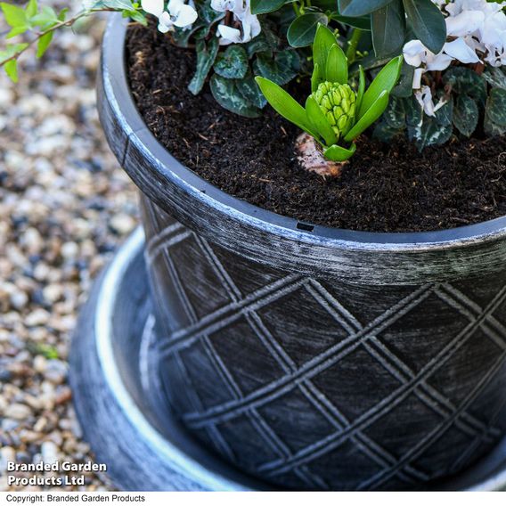 Garden Gear - Black & Pewter Flowerpot with Saucer