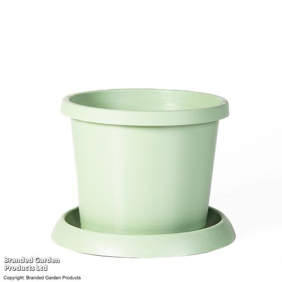 Pistachio Green Flowerpot with Saucer