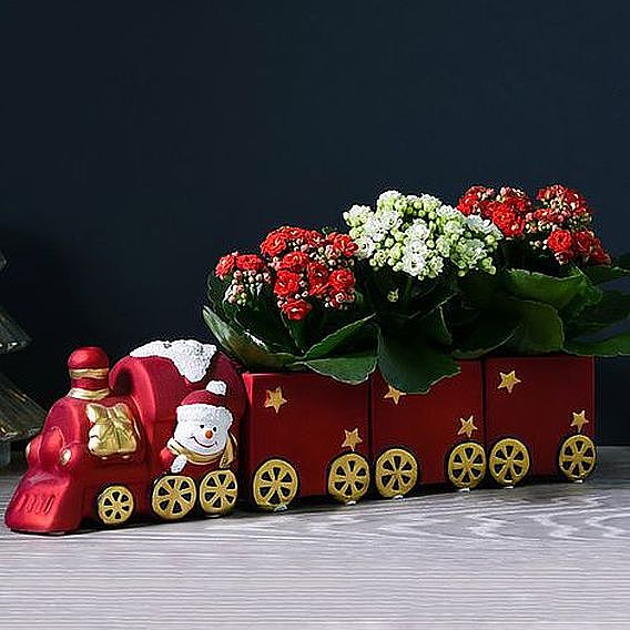 Train Set - Gift