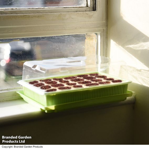 Seed Growing Kit