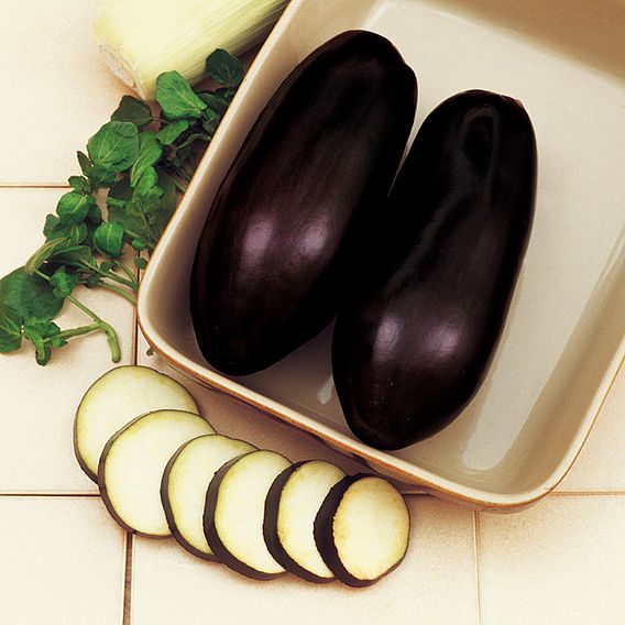 Aubergine Seeds - Black Beauty