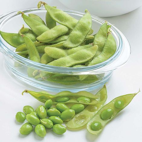 Bean Soya Seeds - Edamame