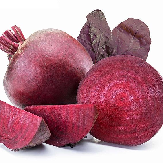 Beetroot 'Bulls Blood' - Seeds