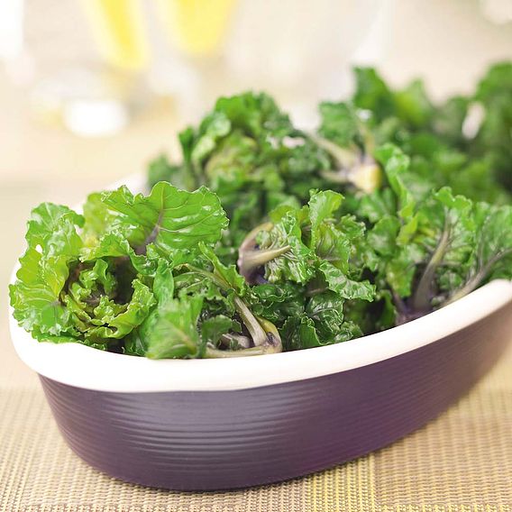 Brussels Sprout 'Kalette Flower Sprout Mix' - Seeds