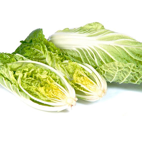 Chinese Cabbage Seeds - F1 Natsuki