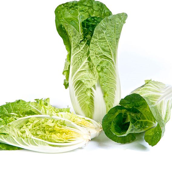 Chinese Cabbage F1 'Natsuki' - Seeds
