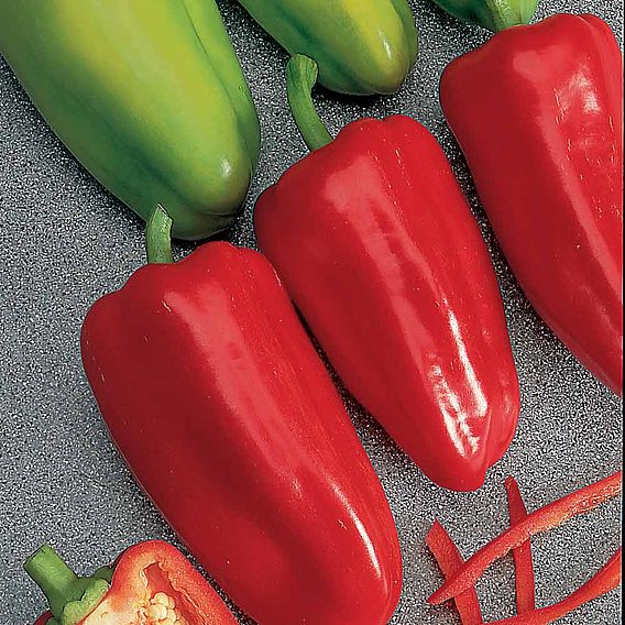 Sweet Pepper 'Gypsy' F1 - Seeds