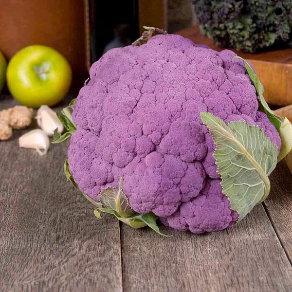 Cauliflower 'Di Sicilia Violetto' - Seeds