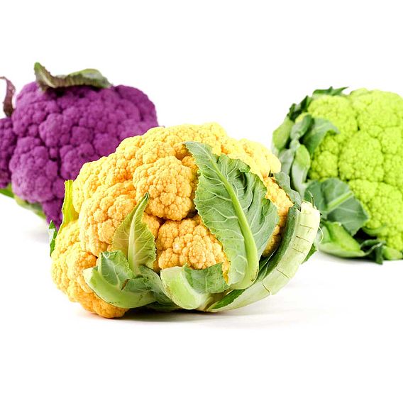 Cauliflower Trio Mixed