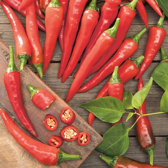 Chilli Pepper 'De Cayenne' - Seeds