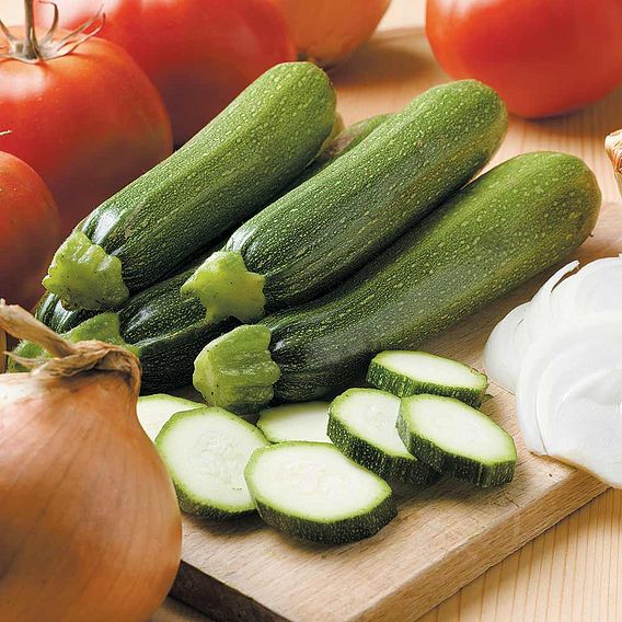 Courgette F1 'Defender' - Seeds