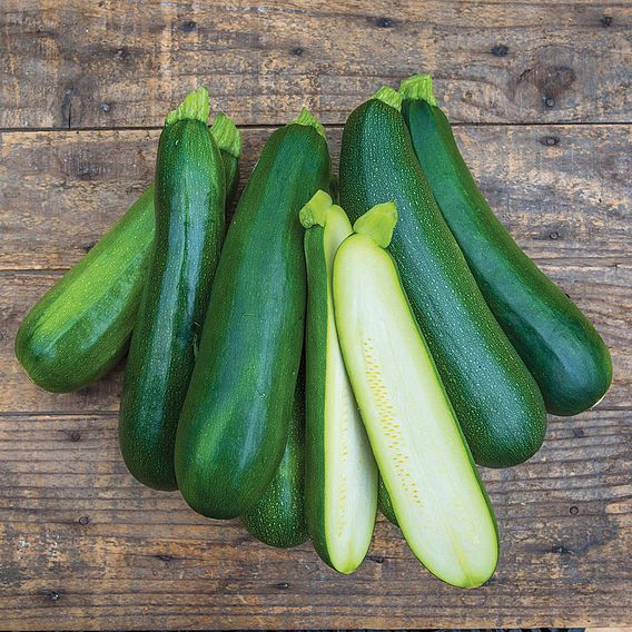 Courgette 'Sure Thing Hybrid' - Seeds