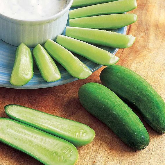 Cucumber F1 'Baby' - Seeds