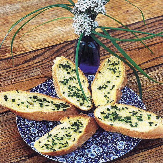 Garlic Chives - Herb Seeds