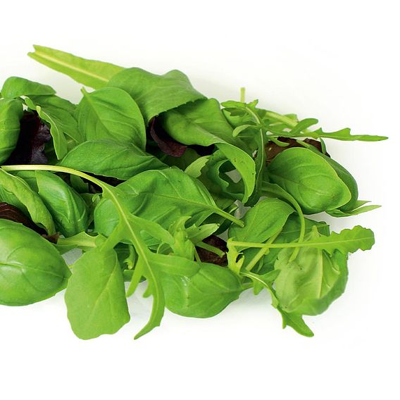 Leaf Salad Seeds - Italian Mix