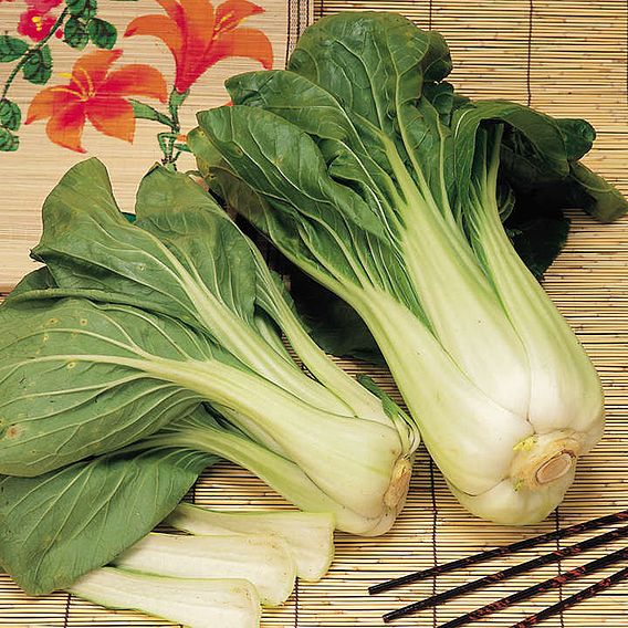Pak Choi Red & White - Seed Tape