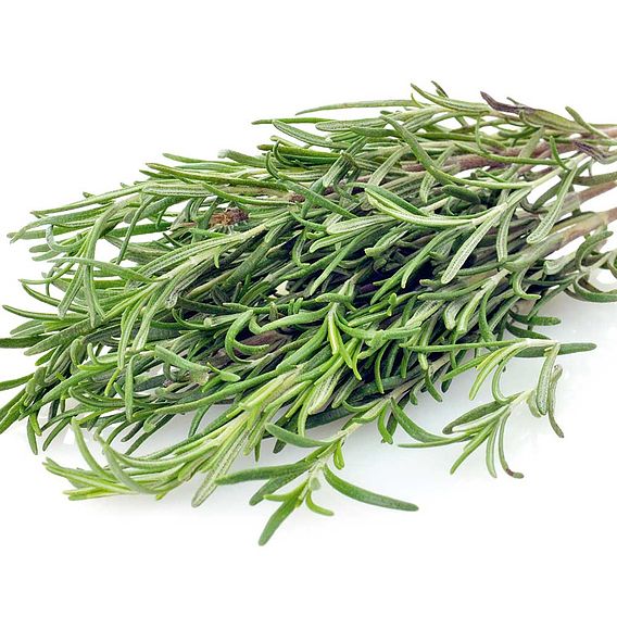 Rosemary - Herb Seeds