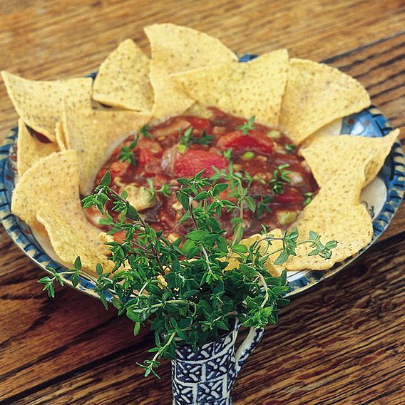 Thyme 'Common' - Herb Seeds