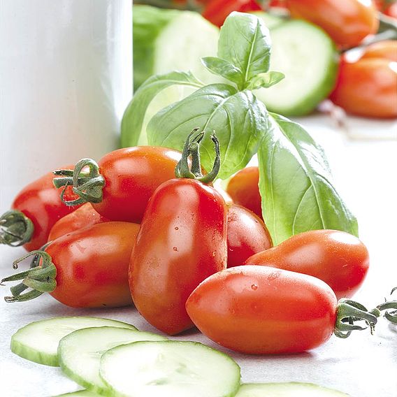 Tomato Seeds - San Marzano 2 (Indeterminate)