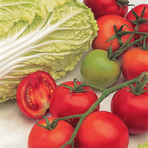 Tomato Seeds - F1 Shirley (Indeterminate)