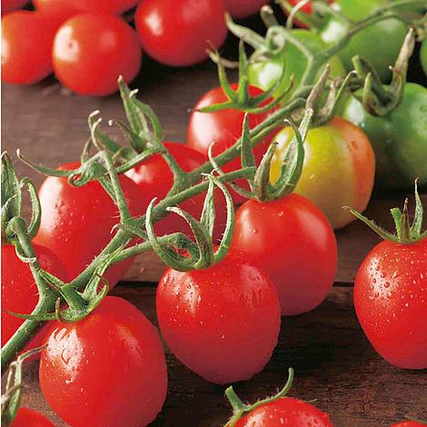 Tomato Principe Borghese - Seeds