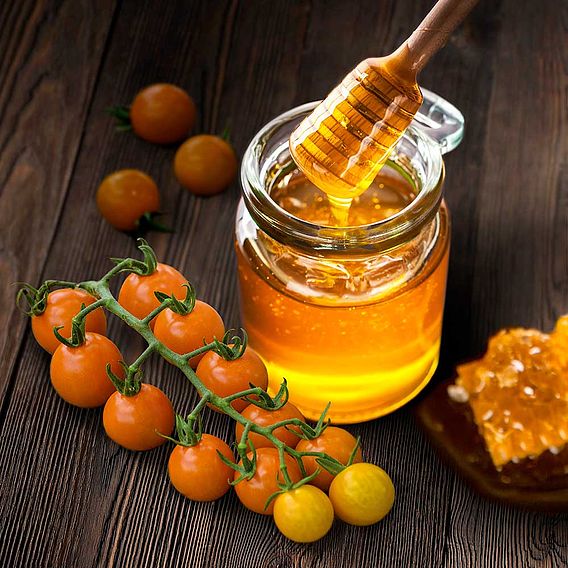 Tomato F1 'Honeycomb (Indeterminate)' - Seeds