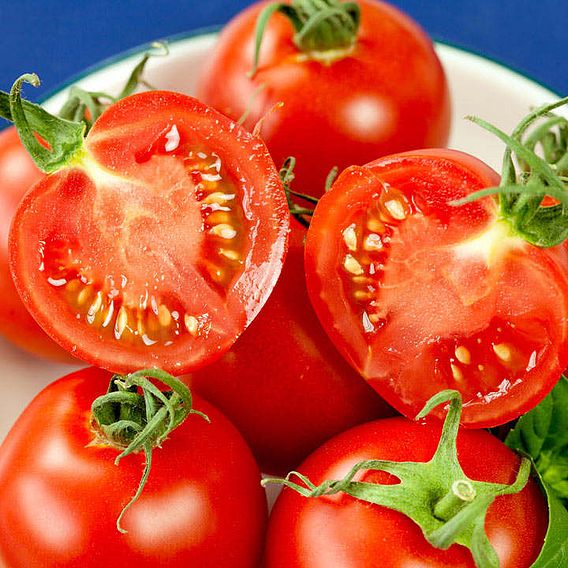 Tomato Seeds - Crimson Cocktail F1 (Indeterminate)