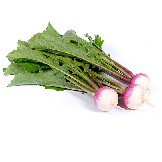 Turnip 'Sweetbell' F1 - Seeds