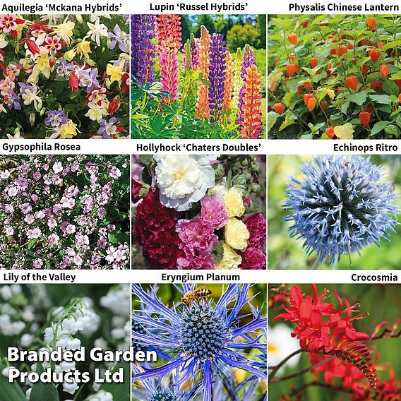 Small Perennial Saver Collection