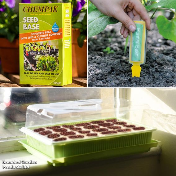 Seed Growing Kit