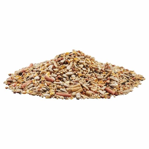 Happy Beaks - Spring & Summer Premium Seed Mix