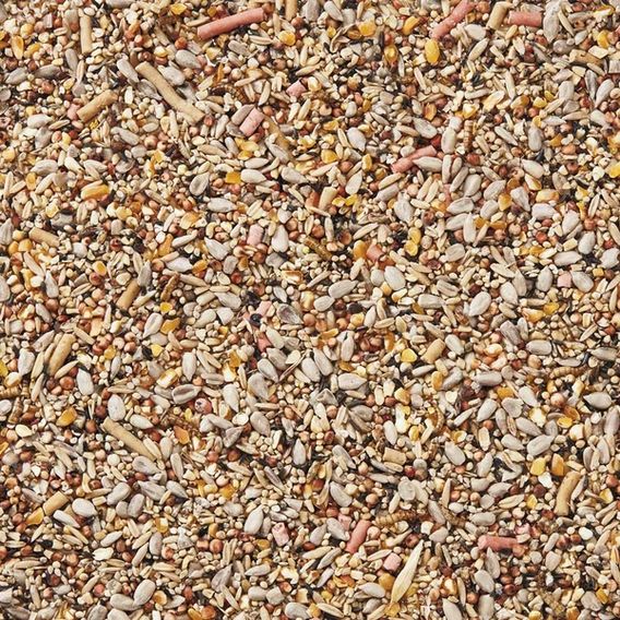 Happy Beaks - Spring & Summer Premium Seed Mix
