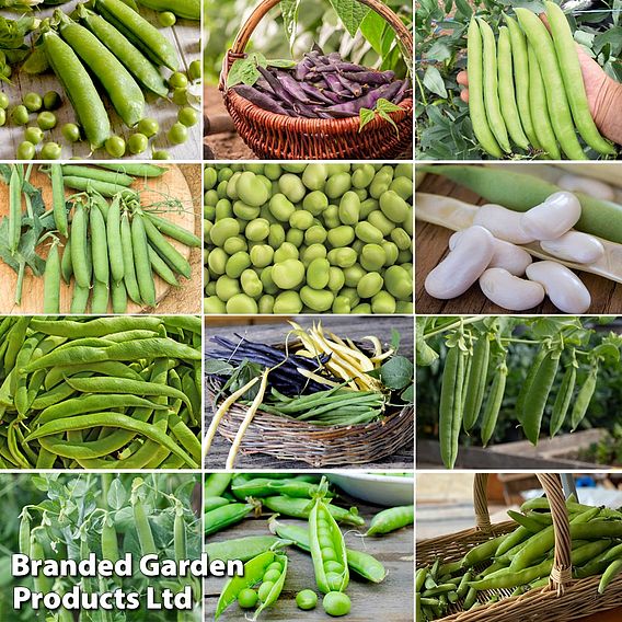 Suttons Lucky Dip Pea & Bean Seeds