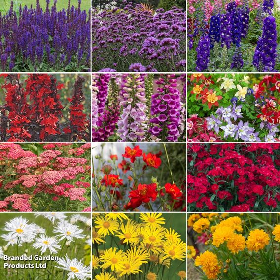 Perfect Perennial Collection