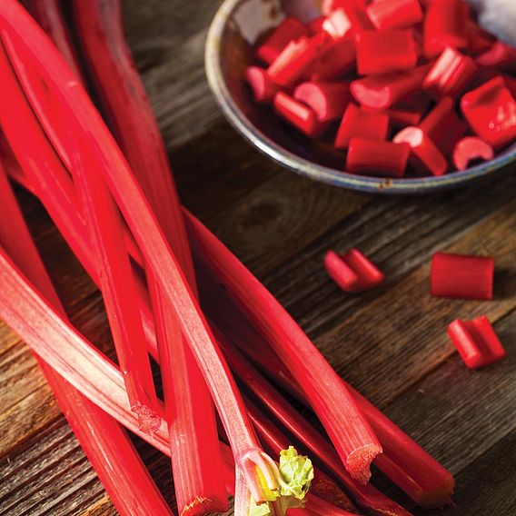 Rhubarb 'Fulton's Strawberry Surprise' (Spring/Autumn Planting)