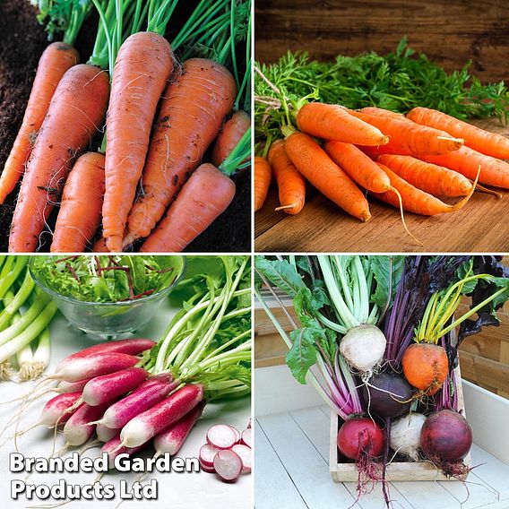 Suttons Allotment Favourites - Seed Collection