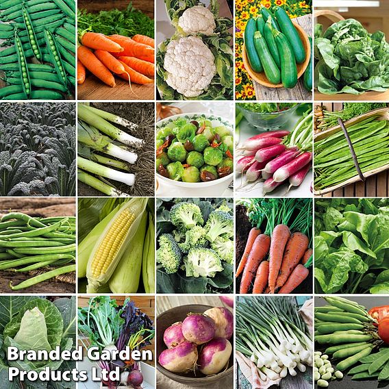 Suttons Allotment Favourites - Seed Collection